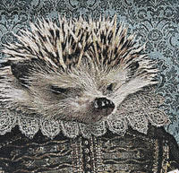 Winston the Hedgehog