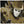 Venetian Masks
