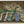 Library Dragon