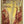 Mucha Seasons