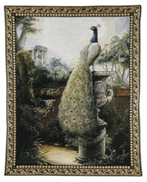 Peacock- Luogo Tranquillo